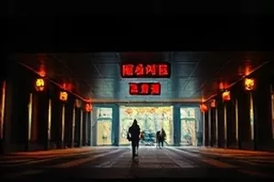 湿地上方有一群候鸟低飞，远处停着观测用的三角脚架